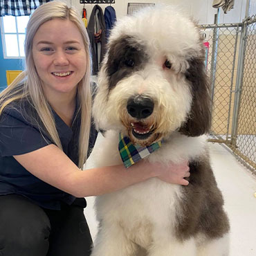 Dog Grooming in Springdale, AR